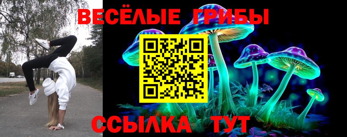 Реж  Галлюциногенные грибы мицелий  Галлюциногенные грибы Magic Shrooms  закладки  Вход с VPN 
