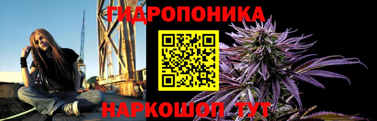МАРИХУАНА OG Kush  Канабис индика  Вход с VPN  Шишки марихуана Amnesia  Реж 